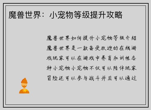 魔兽世界：小宠物等级提升攻略